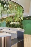 Margot RENAULT - Atelier OCTA